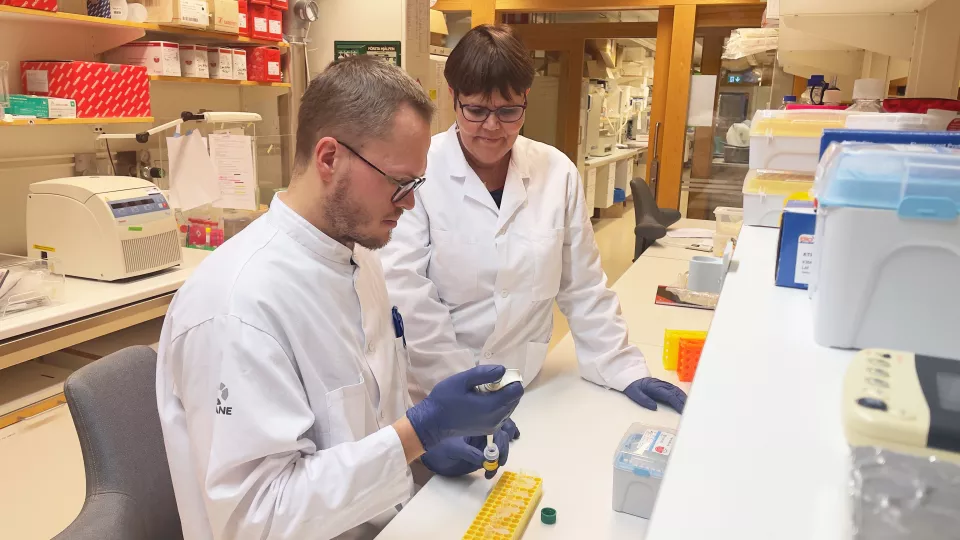 Photograph of two diabetes researchers in the lab.