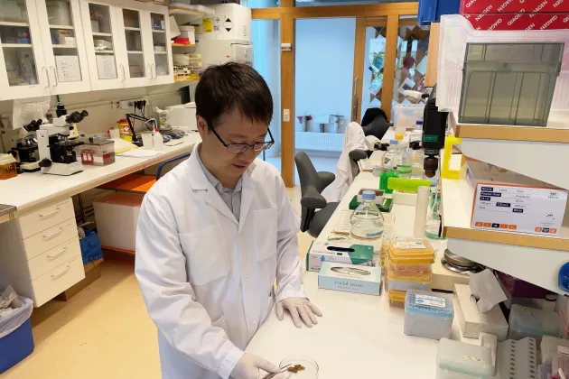 Photograph of a researcher in the lab.