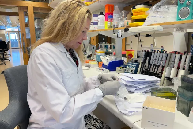 Photograph of Marju Orho-Melander in the lab.