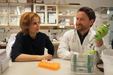 Photograph of two diabetes researchers in the lab. 