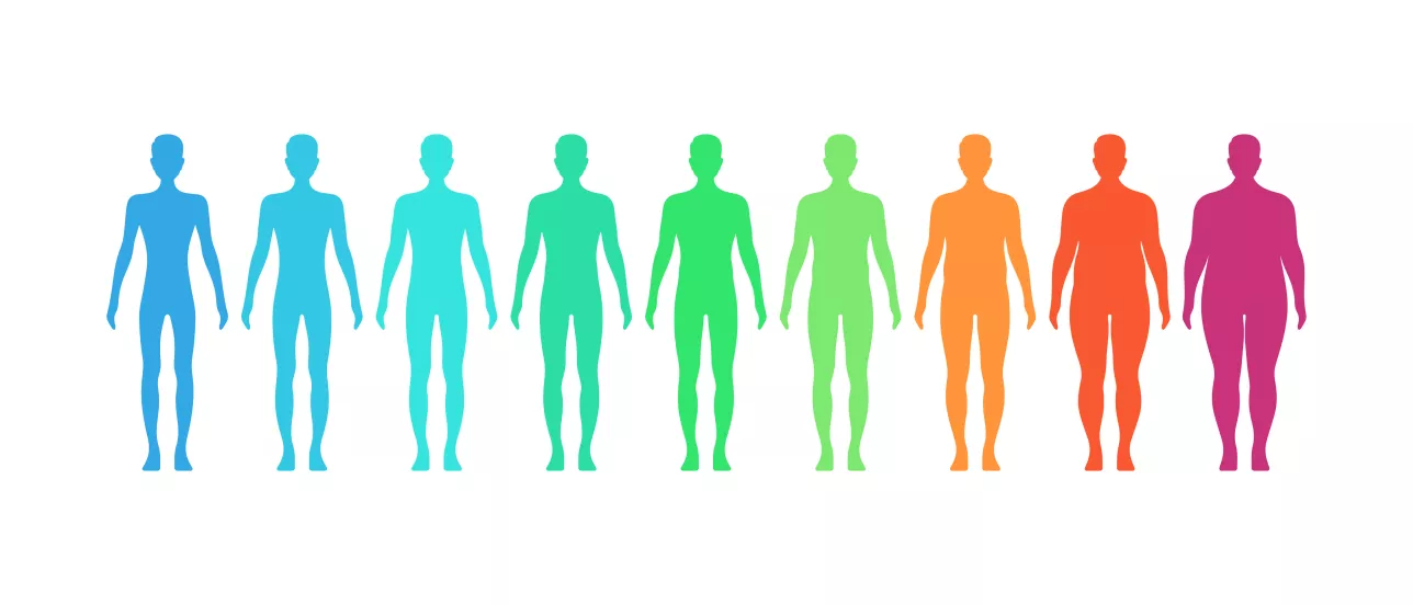 Body shapes from underweight to obese.