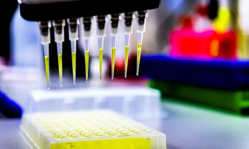 Detail image from the Human Tissue Laboratory. Photograph.